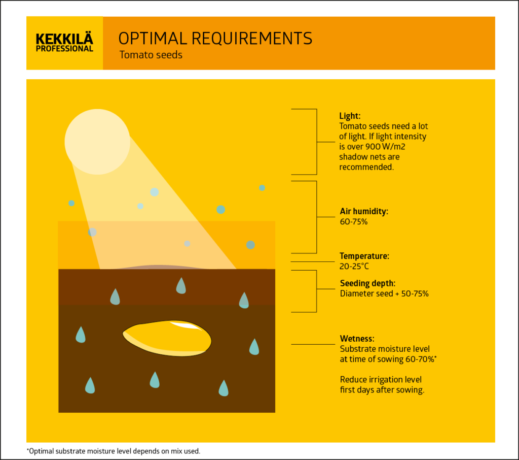 Tomato propagations seed requirements