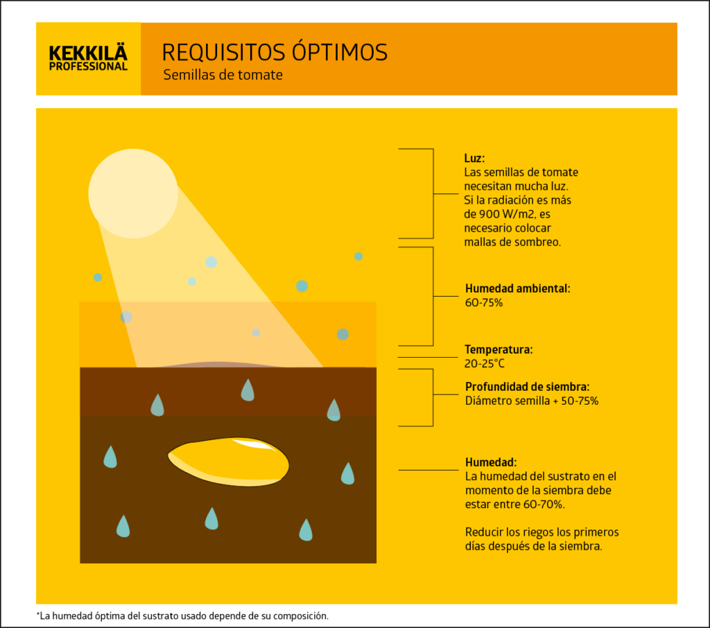 Tomato seeds infographic