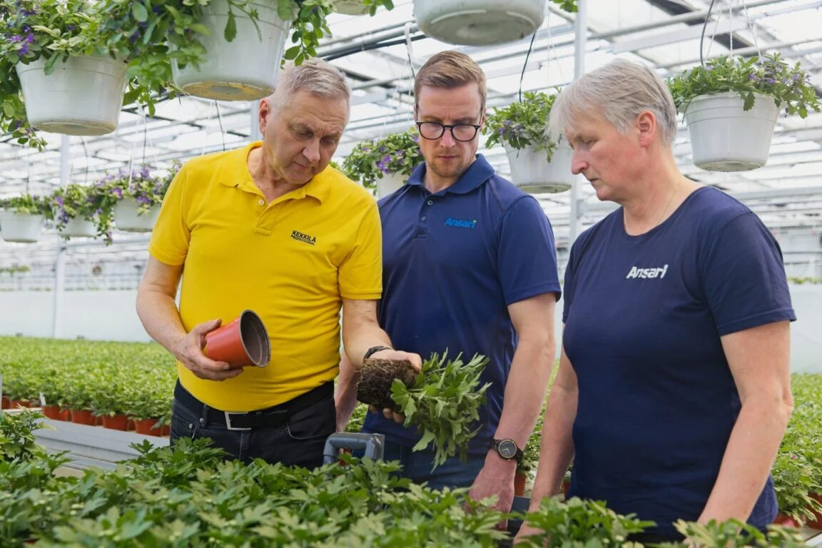 Kari Silokangas, Anselmi Hakkarainen and Taina Suni at Ansari’s nursery